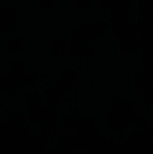 Meet your Posher, Trinity